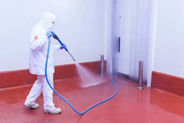 Best Warehouse Cleaning  in Lindenhurst, IL